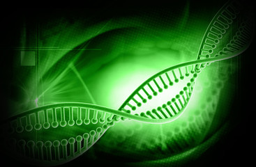 Poster - DNA structure