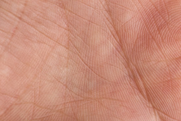 Macro photo of palm of the hand.