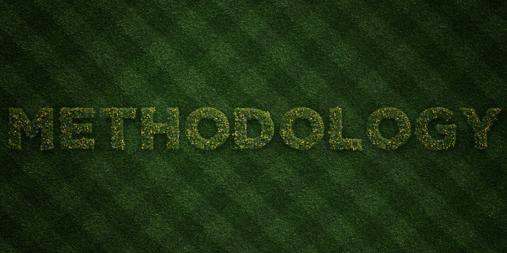 METHODOLOGY - fresh Grass letters with flowers and dandelions - 3D rendered royalty free stock image. Can be used for online banner ads and direct mailers..