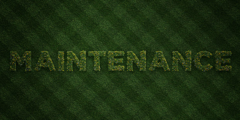 Fototapete - MAINTENANCE - fresh Grass letters with flowers and dandelions - 3D rendered royalty free stock image. Can be used for online banner ads and direct mailers..