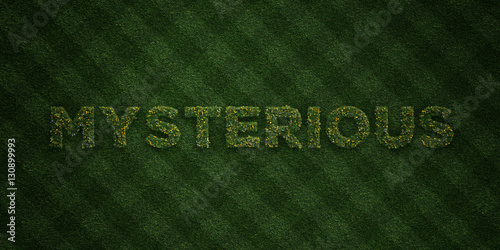 Fotografering MYSTERIOUS - fresh Grass letters with flowers and dandelions - 3D rendered royalty free stock image