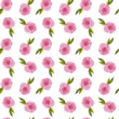 Seamless pattern of roses on a white background