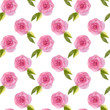 Seamless pattern of watercolor pink roses