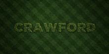 CRAWFORD - Fresh Grass Letters With Flowers And Dandelions - 3D Rendered Royalty Free Stock Image. Can Be Used For Online Banner Ads And Direct Mailers..