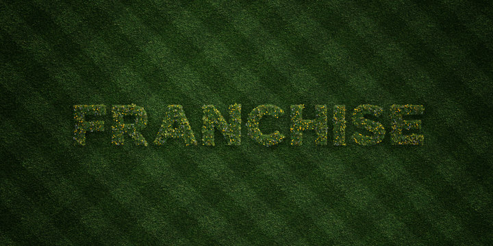 FRANCHISE - fresh Grass letters with flowers and dandelions - 3D rendered royalty free stock image. Can be used for online banner ads and direct mailers..