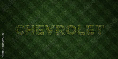 Chevrolet Fresh Grass Letters With Flowers And Dandelions 3d