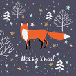 Xmas greeting card Merry Xmas on the black background. Print with cute running fox in the forest with stars and snow. Vector illustration with wild animal. 