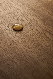 Fototapeta Desenie - Water droplets on a wooden surface