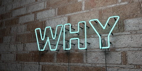 Wall Mural - WHY - Glowing Neon Sign on stonework wall - 3D rendered royalty free stock illustration.  Can be used for online banner ads and direct mailers..