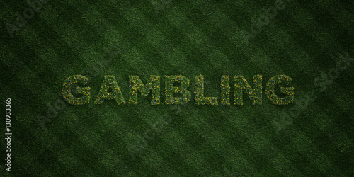 фотография GAMBLING - fresh Grass letters with flowers and dandelions - 3D rendered royalty free stock image