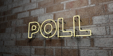 Poster - POLL - Glowing Neon Sign on stonework wall - 3D rendered royalty free stock illustration.  Can be used for online banner ads and direct mailers..