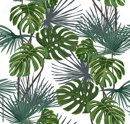 Obraz w ramie Tropical leaves on a white background. Seamless pattern.