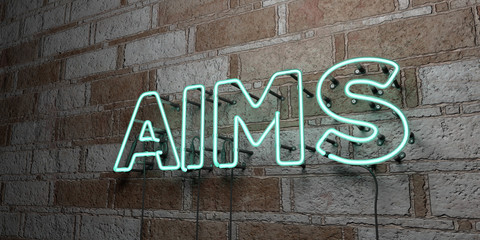 AIMS - Glowing Neon Sign on stonework wall - 3D rendered royalty free stock illustration.  Can be used for online banner ads and direct mailers..