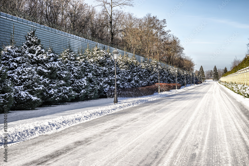 Road covered with snow on bright winter day