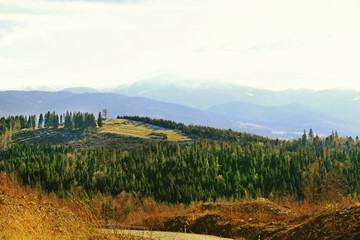 Poster - View of beautiful landscape with mountains