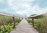 Fototapeta Dziecięca - bamboo bridge walkway to lake on green field