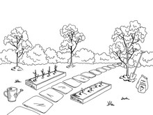 Market Garden Graphic Black White Landscape Sketch Illustration Vector