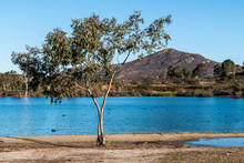 Lake Murray With Cowles Mountain In The Background At Mission Trails Regional Park In San Diego, California. 