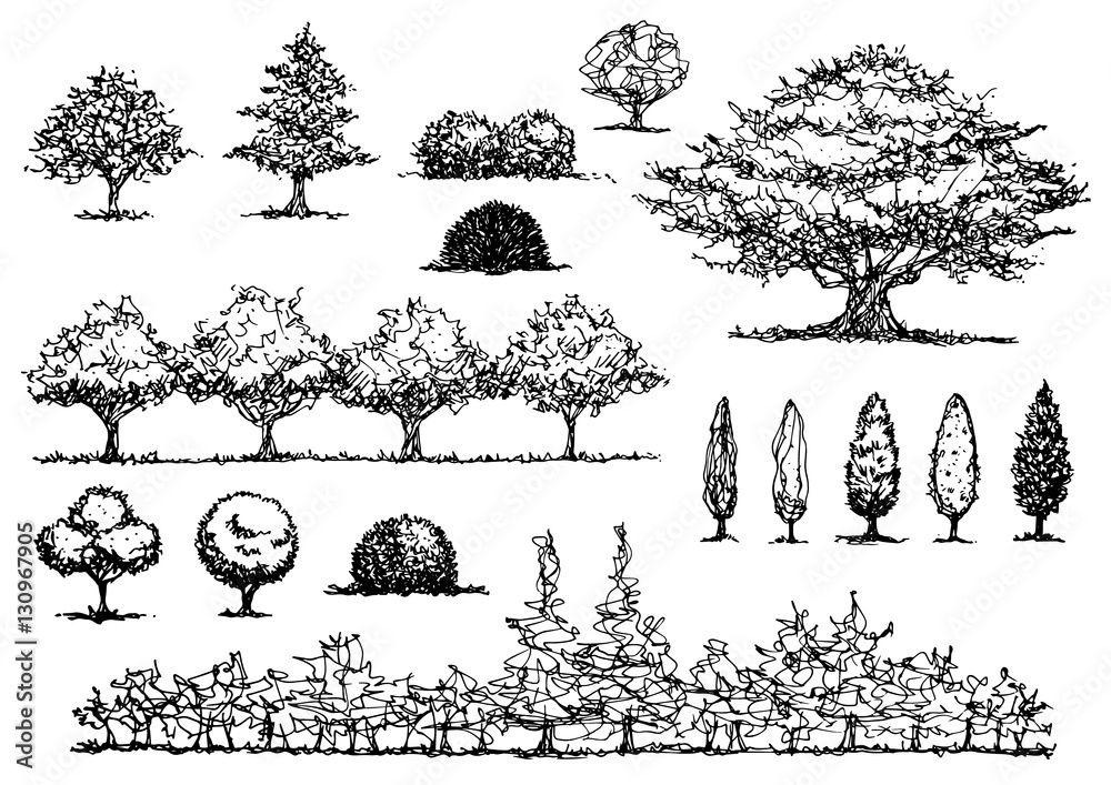 set of free hand drawing trees, vector illustration design 素材庫向量圖 ...
