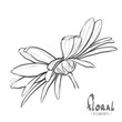 Design sketch of daisies