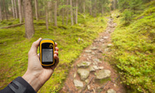 Finding The Right Position In The Forest Via Gps ( Blurred Background )