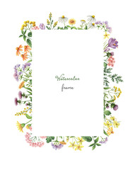 Watercolor rectangular frame with meadow plants.