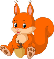 Wall Mural - Cute squirrel cartoon