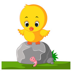 Poster - Cute chicken cartoon

