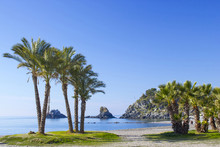 Palm Trees On A Beach In Almunecar, Andalusia Region, Costa Del