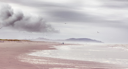 Wall Mural - Long Beach on a gray June morning with Cape Disappointment shrouded in mist