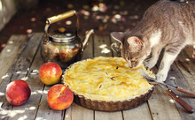 Cat Smelling A Peach Pie On Wooden Table