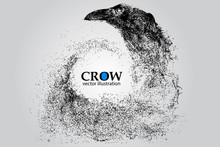 Silhouette Of A Crow From Particles.