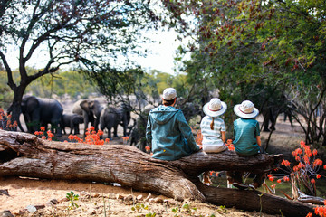 Wall Mural - family safari