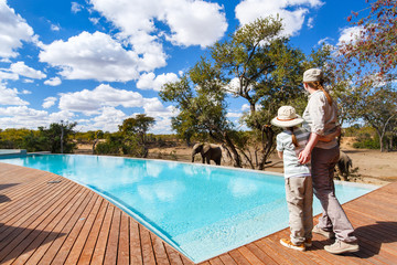 Wall Mural - family safari