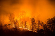 Wildfire, Appalachian Mountains