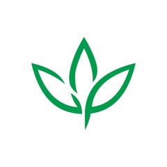 Wall Mural - leaf logo for nature symbol. vectore.