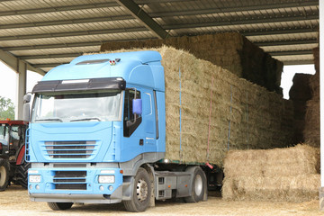 Truck filled with straw in big farm, transportation for farmer