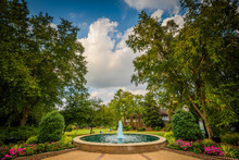 Fountain And Gardens At Fourth Ward Park, In Charlotte, North Ca