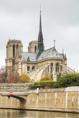 Wall Mural - Notre Dame de Paris cathedral