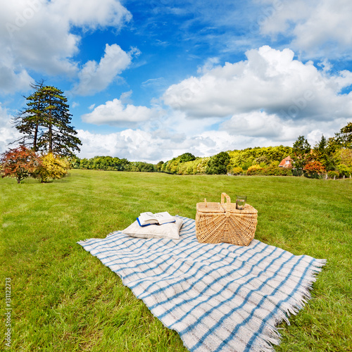 Juliste Picnic blanket, cushion, basket & pillow in a rolling field