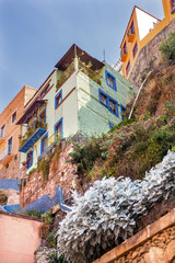 Wall Mural - Many Colored Houses Guanajuato Mexico