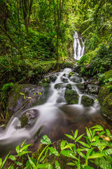 Wall Mural - Gorgeous cascading Hawaiian waterfall