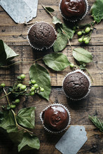 Decorating Chocolate Cupcakes 