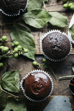 Decorating Chocolate Cupcakes 