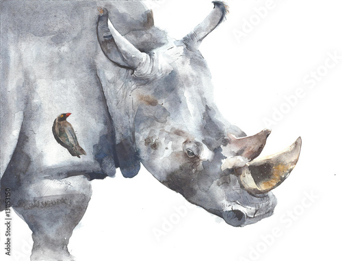 Photo Rhinoceros safari african animal watercolor painting illustration isolated on wh
