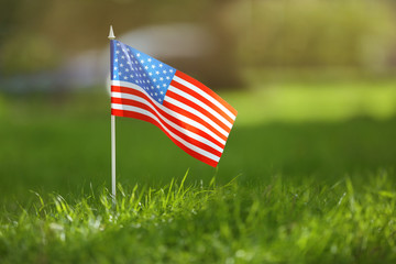 Wall Mural - American flag on green grass, closeup