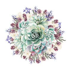 Wall Mural - Beautiful watercolor bouquet with succulents and lavender. Blackberries. Illustrations.