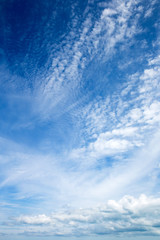 Wall Mural - blue sky