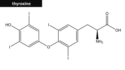 Wall Mural - Molecular structure of thyroxine