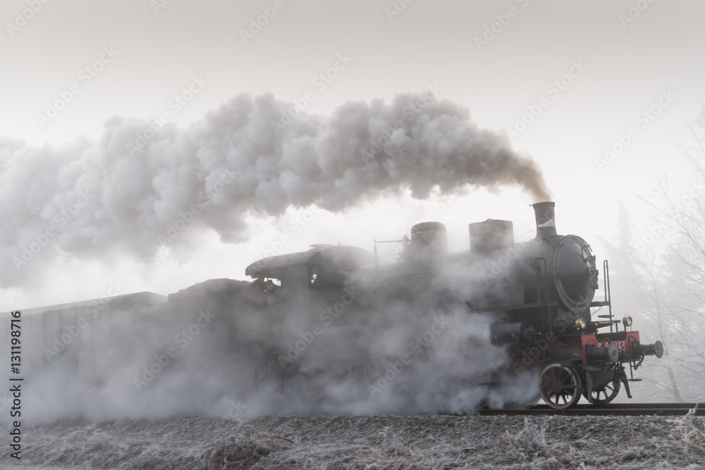 Steam train running in the fog - obrazy, fototapety, plakaty 
